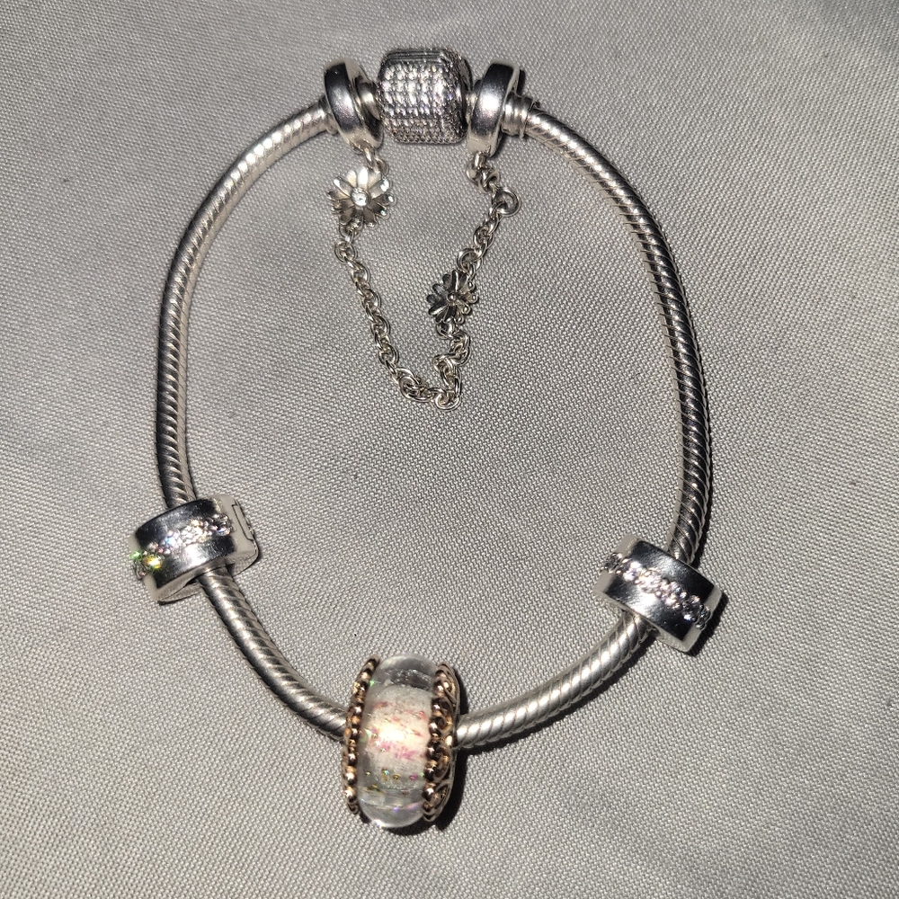 Pandora Bracelet with charms